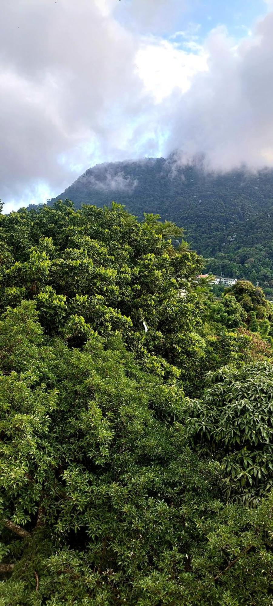 Apartamento Apto Inteiro 78m Vista Cristo Redentor 5 Pessoas